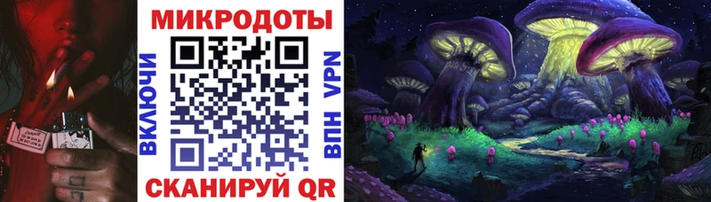 Псилоцибиновые грибы Magic Shrooms продажа наркотиков Бердск