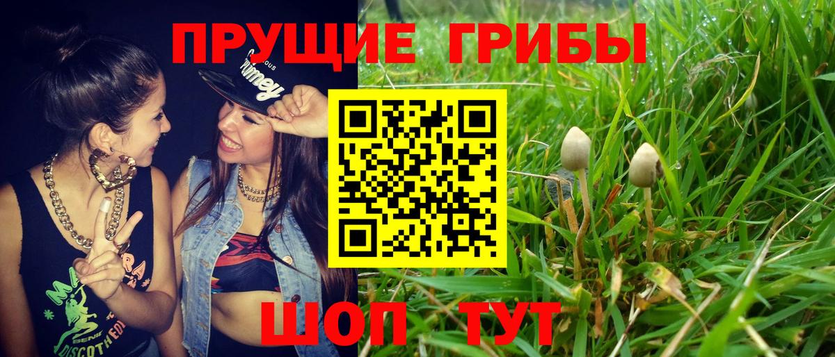 Псилоцибиновые грибы ЛСД Бердск